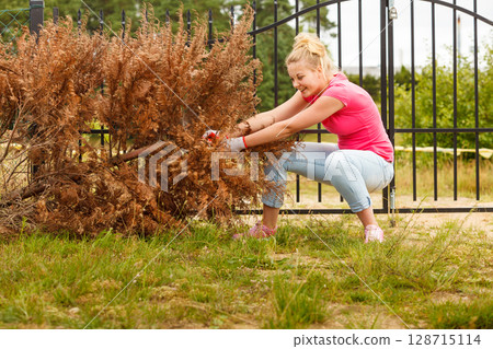 Woman removing pulling dead tree 128715114