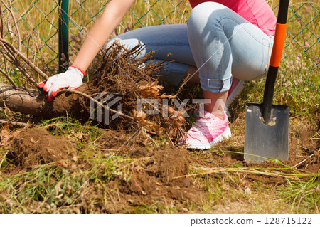 Woman digging hole in garden 128715122