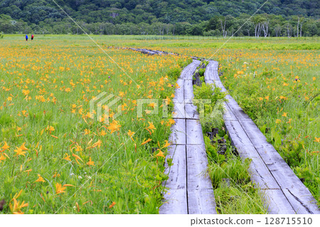 尾瀨之夏：盛開的日光萱草、山花至Yoppi吊橋 128715510