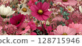 Vibrant Seamless Floral Pattern for Garden and Nature Designs 128715946