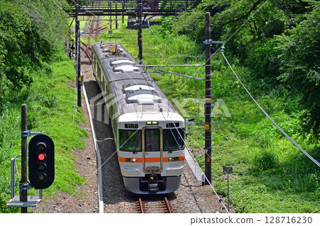 Gotemba Line Yamakita JR Central 313 series N7 formation (Shizuoka) 128716230