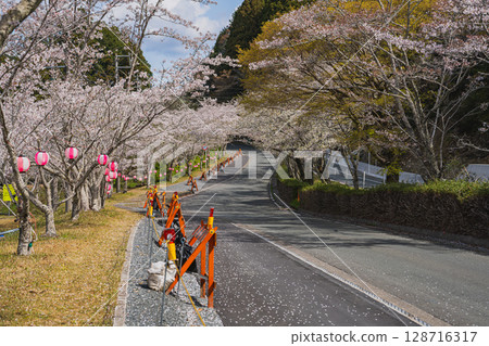 Cherry blossoms along the river at Shishigahana Park in Iwata City (Shizuoka Prefecture) Cherry blossoms along the river at Shishigahana Park in Iwata City (Shizuoka Prefecture) 128716317