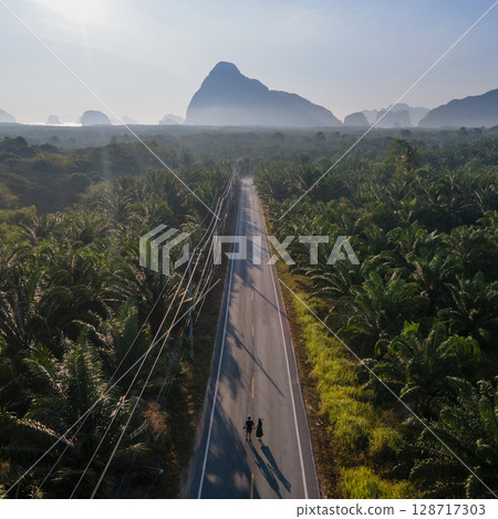 A couple walking together along the road with palm tree plantation beside A couple walking together along the road with palm tree plantation beside 128717303