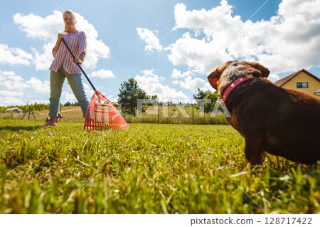 Dog looking at woman working in garden 128717422