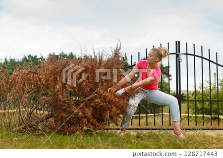 Woman removing pulling dead tree 128717443
