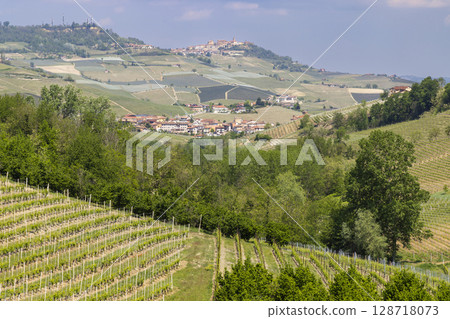 Vineyards covering the rolling hills surrounding Novello, a charming village in Piedmont, Italy 128718073