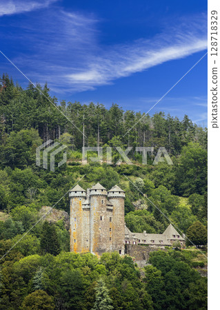 Historic Castle Nestled in Lush French Forest 128718329