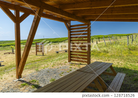 Wooden picnic tables under shelter overlooking vineyard in Dolne Oresany, Slovakia 128718526