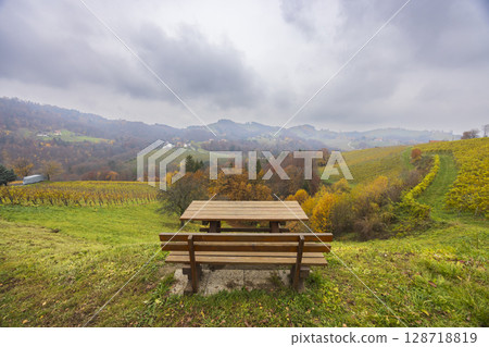 Resting place overlooking vineyards and colorful hills in Styria, Austria 128718819