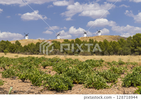 Windmills rising above green vineyards in Alcazar de San Juan, Spain 128718944