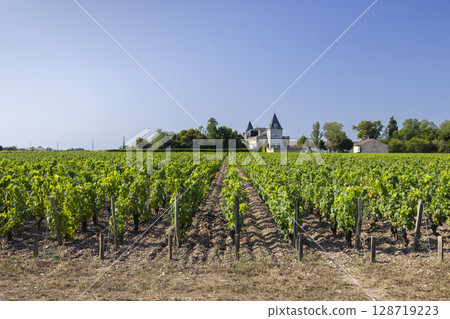 Chateau Beychevelle rising over Saint Julien Beychevelle vineyard in Medoc, France Chateau Beychevelle rising over Saint Julien Beychevelle vineyard in Medoc, France 128719223