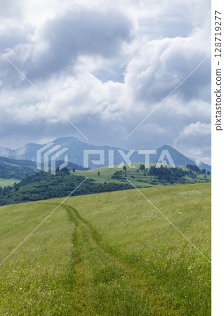 Winding path crossing green meadow in Pienap - Pieniny National park, Slovakiacountryside with dramatic sky Winding path crossing green meadow in Pienap - Pieniny National park, Slovakiacountryside with dramatic sky 128719277
