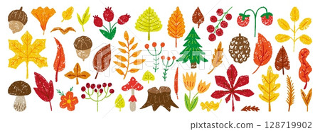 Color pencil autumn forest elements. Crayon drawing red berries, pine, acorn, fir tree. Oak maple birch leaves, fall seasonal childish drawn neoteric vector clipart 128719902