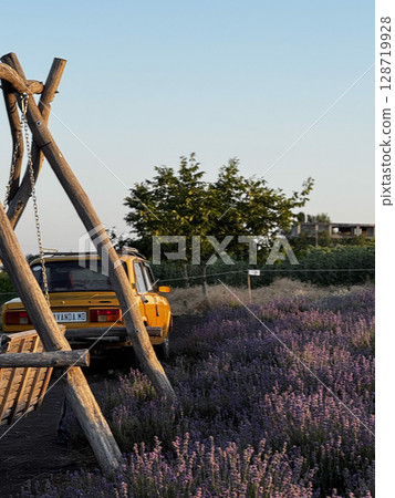 Vintage Car by Lavender Field in Moldova Vintage Car by Lavender Field in Moldova 128719928