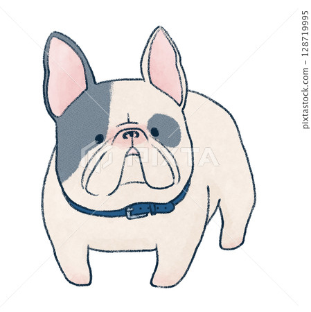 法國鬥牛犬 法國鬥牛犬 128719995