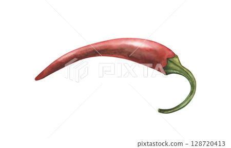 Vibrant watercolor illustration of a hot chili pepper pod in a handmade botanical style. Ideal for packaging, culinary projects, blogs, printing, cafe menus and the beauty industry 128720413