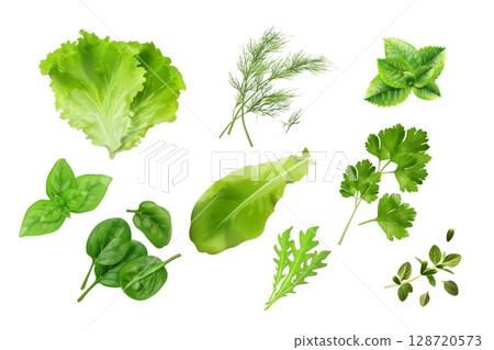 Realistic kitchen herbs. 3d spice herb, green salad leaf lettuce mint parsley basil spinach dill thyme coriander farm vegetable cooking ingredients set, exact vector illustration Realistic kitchen herbs. 3d spice herb, green salad leaf lettuce mint parsley basil spinach dill thyme coriander farm vegetable cooking ingredients set, exact vector illustration 128720573