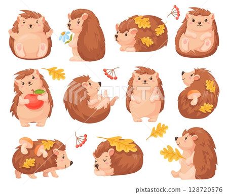 Cartoon autumn hedgehog. Cute hedgehogs fall forest animal character, baby urchin sleep funny wild animals with mushroom leaf woodland leaves, childish neat vector illustration 128720576