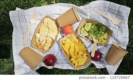 Assorted crackers, chips, guacamole and fruit served in paper trays on picnic blanket in the grass. Concept of eco-friendly snacking and outdoor summer picnic enjoyment 128720667
