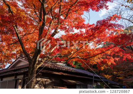Iwashimizu Hachiman Shrine Back Approach Observation Deck Otokoyama Observation Deck 128720867