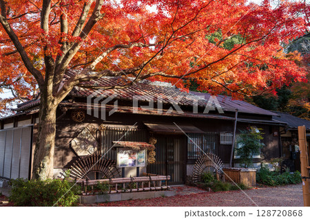 Iwashimizu Hachiman Shrine Back Approach Observation Deck Otokoyama Observation Deck Iwashimizu Hachiman Shrine Back Approach Observation Deck Otokoyama Observation Deck 128720868