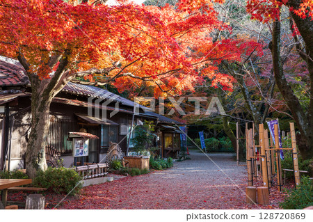 Iwashimizu Hachiman Shrine Back Approach Observation Deck Otokoyama Observation Deck 128720869
