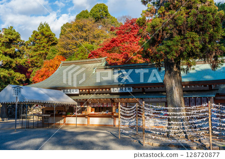 日本京都府八幡市石清水八幡宮神社庭院及秋葉 128720877