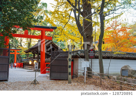 秋天的河合神社,美麗的銀杏樹和主神社 秋天的河合神社,美麗的銀杏樹和主神社 128720891