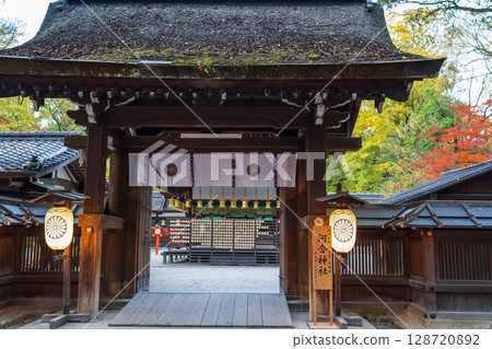 Kawai Shrine in autumn, beautiful ginkgo trees and the main shrine 128720892