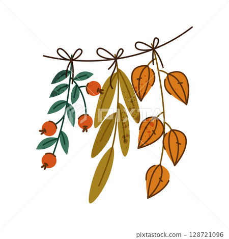 Twig with herbarium or autumn leaves. Vector icon of fall flora or woodland seasonal foliage, forest plant leaf print, wood berry. Garden season and nature symbol. Botany and biology, rustic taxonomy. Twig with herbarium or autumn leaves. Vector icon of fall flora or woodland seasonal foliage, forest plant leaf print, wood berry. Garden season and nature symbol. Botany and biology, rustic taxonomy. 128721096