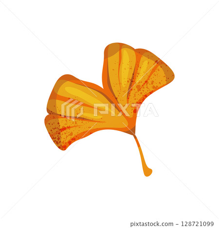 Autumn ginkgo tree leaf. Vector ginkgo ales plant herbarium. Naturalist flyleaf. Pressed forest or wood nature for taxonomy symbol. Twig and stem. Biology leaf print and garden botany, ecology foliage 128721099