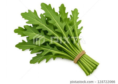 Freshly Harvested Arugula Leaves Gathered in a Bunch With a Natural Twine 128722066