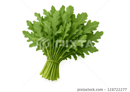 Freshly Harvested Arugula Bundle Ready for Culinary Use in Salads and Dishes 128722277