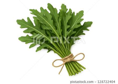 Fresh Arugula Bunch Tied With Twine on White Background Fresh Arugula Bunch Tied With Twine on White Background 128722404