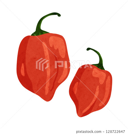 Habanero watercolor hand-drawn illustration 128722647