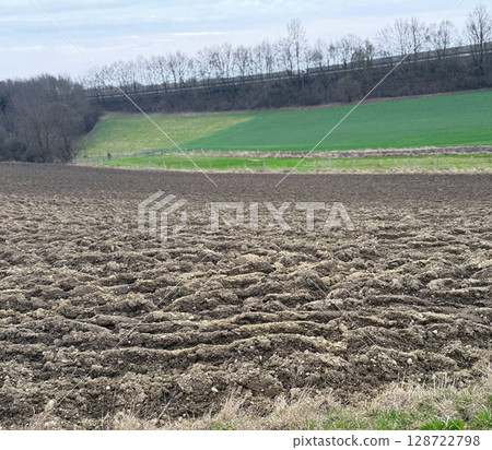 Country gravel road and green wheat fields with sky clouds natural landscape under blue sky Country gravel road and green wheat fields with sky clouds natural landscape under blue sky 128722798