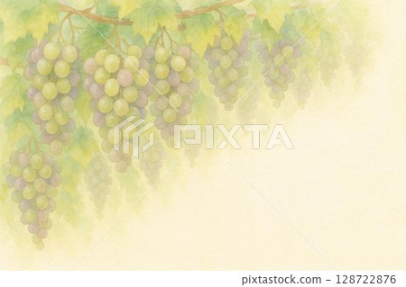 葡萄 葡萄架 128722876