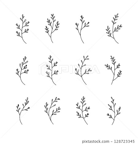 Delicate Botanical Branches. Delicate Botanical Branches shows a variety of thin hand-drawn branches in a clean, minimal aesthetic. 128723345