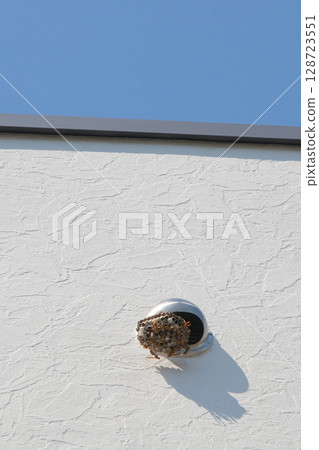 Long-legged wasps build nests in the exhaust vents of homes Long-legged wasps build nests in the exhaust vents of homes 128723551