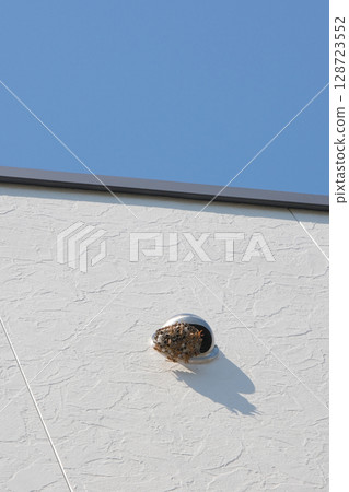 Long-legged wasps build nests in the exhaust vents of homes Long-legged wasps build nests in the exhaust vents of homes 128723552