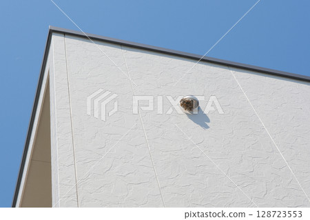 Long-legged wasps build nests in the exhaust vents of homes Long-legged wasps build nests in the exhaust vents of homes 128723553