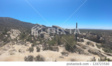 Panoramic desert landscape with rock formations in Saguaro National Park 128723580