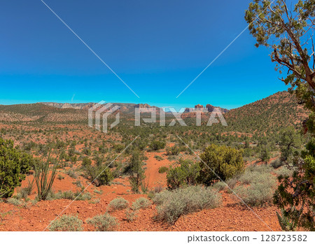 Cathedral Rock in Sedona desert landscape under an Arizona blue sky 128723582