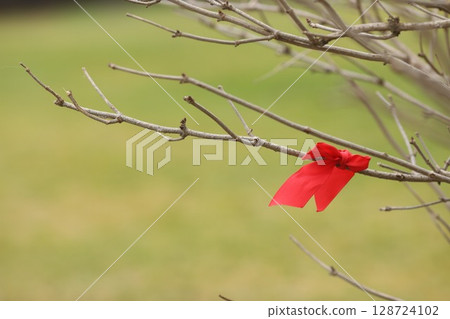 A red ribbon is tied to a tree branch A red ribbon is tied to a tree branch 128724102