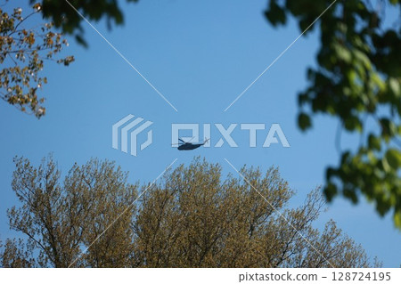 Helicopter is flying in the sky above a tree Helicopter is flying in the sky above a tree 128724195