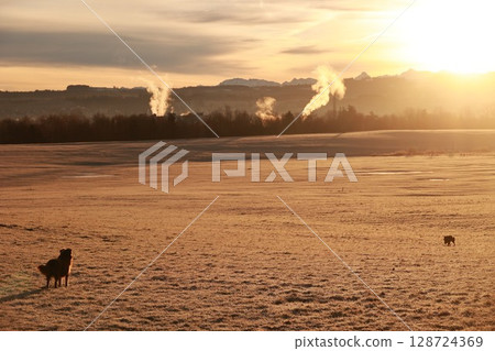 Field with a sun setting in the background Field with a sun setting in the background 128724369