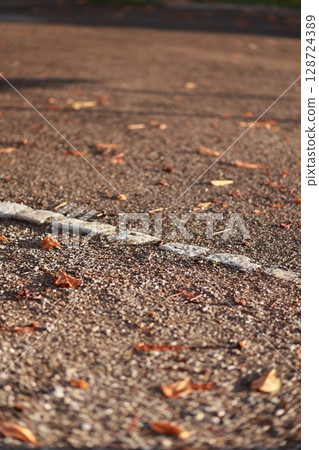 A road with a white line and leaves on the ground 128724389