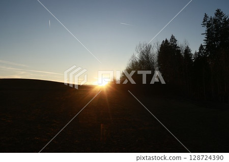 Sun is setting in the sky, casting a warm glow over a field of trees 128724390