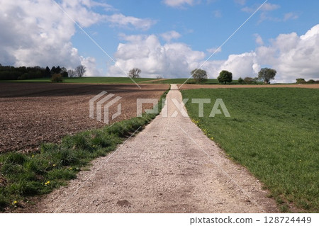 Dirt road runs through a field with trees in the background 128724449