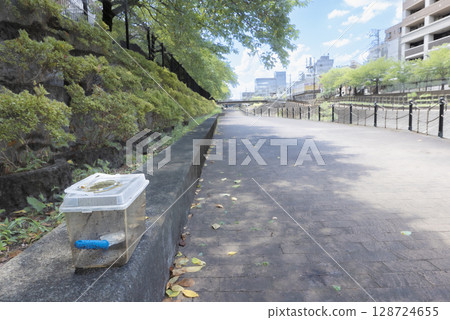 A photo that evokes childhood memories of catching insects during summer vacation A photo that evokes childhood memories of catching insects during summer vacation 128724655